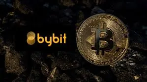 Bybit Coin